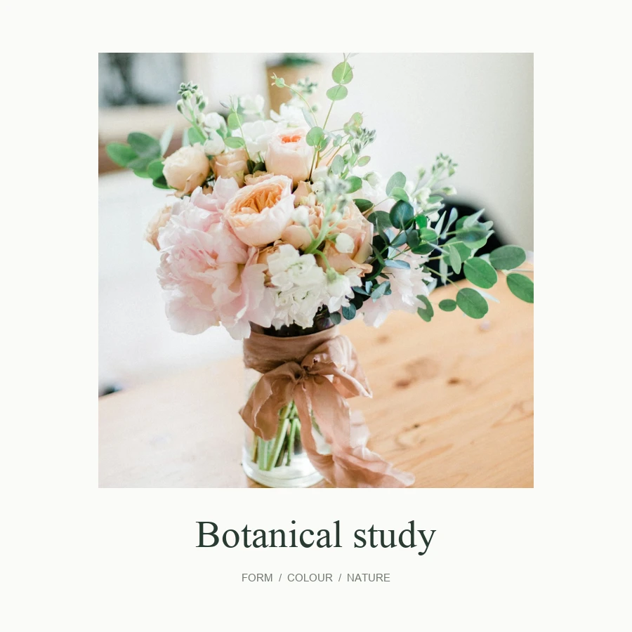Botanical study 花卉主题艺术海报示意
